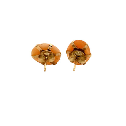 Petite Cameo Shell Earrings in Yellow Gold