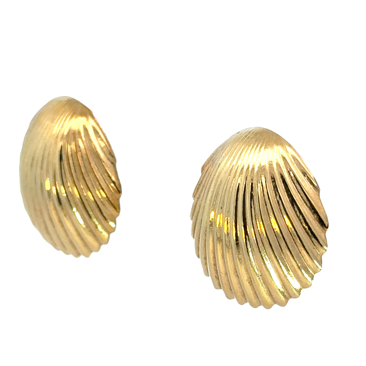 14K Yellow Gold Shell Earrings – Vintage Coastal Elegance