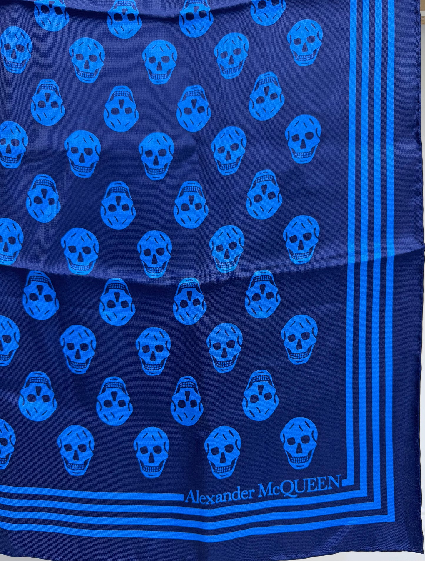 Alexander McQueen Skull Print Silk Scarf