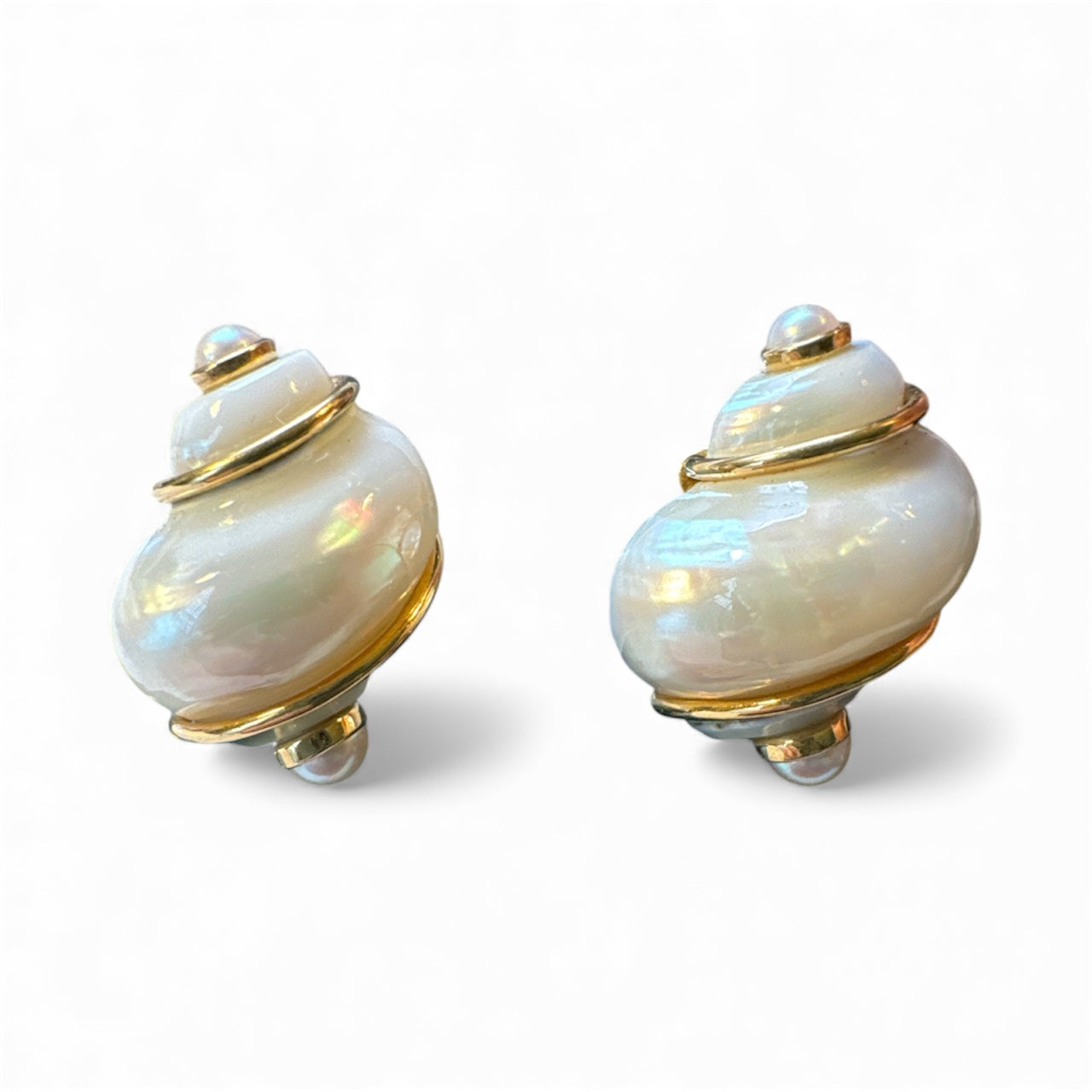 Seaman Schepps Turbo Shell Earrings in 18K Yellow Gold