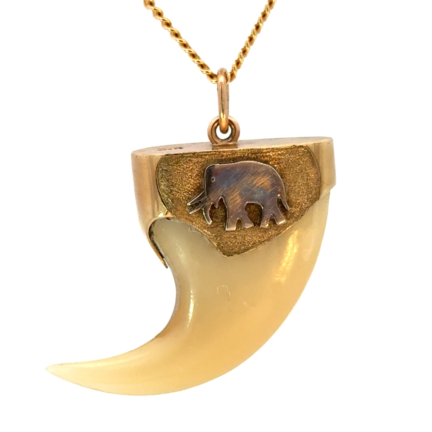 Vintage Safari Style Elephant Tooth Pendant in Yellow Gold