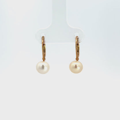 14K Yellow Gold Button Pearl Lever-Back Drop Earrings