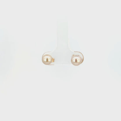Yellow Gold Cream Pearl Stud Earrings